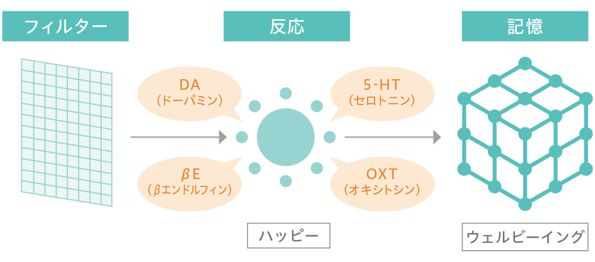 「フィルター」「反応」「記憶」の脳の3つの機能